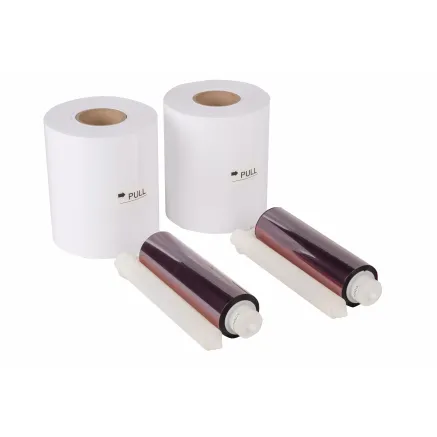 Mitsubishi CK-D746-U 10X15 Dye Sublimation Printer