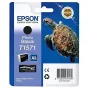 Printer cartridges - Epson T1579 Light Light Black Black - quick order from manufacturer