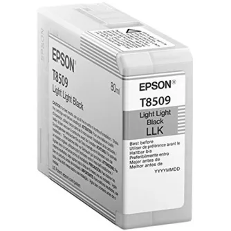Printer cartridges - Epson T8509 Ink Cartridge, Light Light Black - quick order from manufacturer