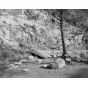 Foto filmiņas - Rollei Ortho 25 Plus 35mm 36 exposures - ātri pasūtīt no ražotāja