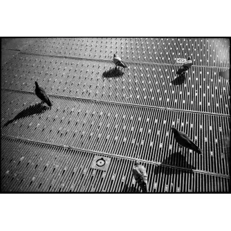 Produkto paveikslėlis