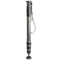 Gitzo GM4542 Series 4 Carbon Monopod, 4 Section, 50mm Foot