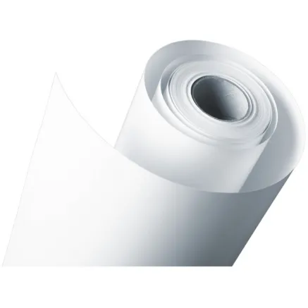 Fujifilm Fuji paper CA 21x186, glossy