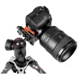Foto statīvi - Manfrotto statīva komplekts Befree Advanced Alpha MKBFRLA-BH - perc šodien veikalā un ar piegādi