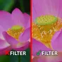 Makro fotografēšana - Marumi Filter DHG Macro Achro 330 + 3 62mm - ātri pasūtīt no ražotāja