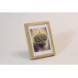 Soul White 10x15 Focus Digital Camera 5101015SOW