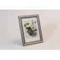 TANGO SILVER 10X15 FOCUS Camera by Manufacturer - 5100000134