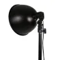 Fluorescējošās - StudioKing Daylight Kit PK-KS11 2x85W - ātri pasūtīt no ražotāja