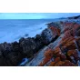 Objektīvi - FUJIFILM Lens Fujinon XF16mm F1.4 R WR - ātri pasūtīt no ražotāja