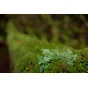 Objektīvi - FUJIFILM Lens Fujinon XF16mm F1.4 R WR - ātri pasūtīt no ražotāja