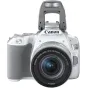 Discontinued - Canon EOS 250D + 18-55mm IS STM Kit, white