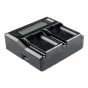 Kameras bateriju lādētāji - Newell DC-LCD two-channel charger for DMW-BLF19E batteries - ātri pasūtīt no ražotāja