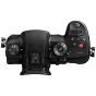 Bezspoguļa kameras - Panasonic GH5s Lumix Mirrorless Micro Four Thirds DC-GH5S - ātri pasūtīt no ražotāja