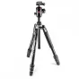 Foto statīvi - Manfrotto Befree GT Aluminum Tripod twist lock, ball head (MKBFRTA4GT-BH) - perc šodien veikalā un ar piegādi