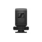 Mikrofoni - Sennheiser XSW-D Lavalier Set - ātri pasūtīt no ražotāja