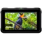 LCD monitori filmēšanai - Atomos Shinobi HDMI - perc šodien veikalā un ar piegādi