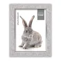 Foto rāmis - Zep Photo Frame AZ123 Doneck B 20x30 cm - ātri pasūtīt no ražotāja