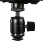 LED Floodlights - Linkstar Mini LED Fresnel Lucia L-1.5-K1 15W - quick order from manufacturer