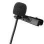 Mikrofoni - Boya Dual Clip-on Lavalier Microphone BY-M2D for iOS - ātri pasūtīt no ražotāja