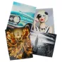 Fotopapīrs printeriem - DNP Paper Metallic 1 Roll а 200 prints 15x20 for DS620 - ātri pasūtīt no ražotāja