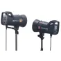 Studio flash kits - Elinchrom ELC 500 Dual Studio Monolight Kit - quick order from manufacturer