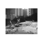 Photo films - Fomapan 200 Creative 35mm 36 exposures Retro Edition - quick order from manufacturer