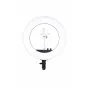 LED Gredzenveida lampas - Nanlite HALO18 LED RING LIGHT - perc šodien veikalā un ar piegādi