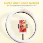 Ring Light - Godox LR120 LED dimmable bi-color ring light - 30cm / 3000K-6000K / RGB / 0-100 - quick order from manufacturer Best choise selected by experts