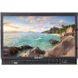 LCD monitori filmēšanai - SEETEC MONITOR P173-9HSD-RM 17.3 INCH P173-9HSD-RM - ātri pasūtīt no ražotāja