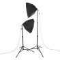 Fluorescējošās - StudioKing Daylight Kit PK-SB608K 2x85W - ātri pasūtīt no ražotāja