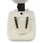 Mikroskopi - Byomic Beginners Stereo Microscope 20x - ātri pasūtīt no ražotāja