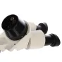 Mikroskopi - Byomic Stereo Microscope BYO-ST3 - ātri pasūtīt no ražotāja