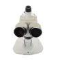 Mikroskopi - Byomic Stereo Microscope BYO-ST341 LED - ātri pasūtīt no ražotāja