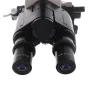 Mikroskopi - Byomic Study Microscope BYO-500T - ātri pasūtīt no ražotāja