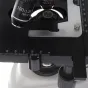Mikroskopi - Byomic Study Microscope BYO-500T - ātri pasūtīt no ražotāja