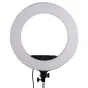 LED Gredzenveida lampas - StudioKing LED Ring Lamp Set LED-480ASK with Light Stand - ātri pasūtīt no ražotāja