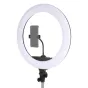 LED Gredzenveida lampas - StudioKing LED Ring Lamp Set 65W LR-650 - ātri pasūtīt no ražotāja