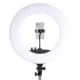 LED Gredzenveida lampas - StudioKing LED Ring Lamp Set 48W LR-480 - ātri pasūtīt no ražotāja