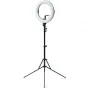 Teleprompteri - Ikan HomeStream Phone Teleprompter Kit (HS-PROMPTER-RL) - ātri pasūtīt no ražotāja