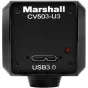 Videokameras - Marshall Miniature POV USB3.0 Full HD Camera (CV503-U3) - ātri pasūtīt no ražotāja