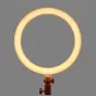LED Gredzenveida lampas - Godox LR-120P LED ring light - ātri pasūtīt no ražotāja