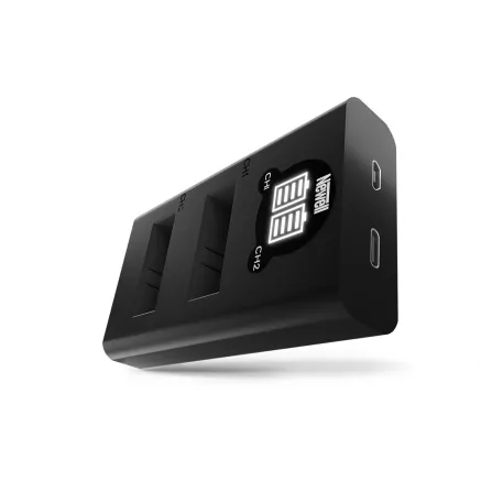 Newell DL-USB-C dual channel charger for AABAT-001