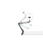 LED Gredzenveida lampas - Puluz Foldable arm stand 10 inch 26cm bi-color LED Ring Vlogging Video Light Live PKT3090B - ātri pasūtīt no ražotāja