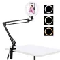 LED Gredzenveida lampas - Puluz Foldable arm stand + 8 inch 20cm bi-color LED Ring Vlogging Video Light Live PKT3089B - ātri pasūtīt no ražotāja