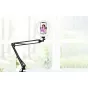 LED Gredzenveida lampas - Puluz Foldable arm stand + 8 inch 20cm bi-color LED Ring Vlogging Video Light Live PKT3089B - ātri pasūtīt no ražotāja