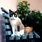 Foto filmiņas - Lomography Color Negative Film 100/120 (3 pcs) - perc šodien veikalā un ar piegādi