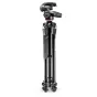 Foto statīvi - Manfrotto statīva komplekts MK290XTA3-3W - ātri pasūtīt no ražotāja