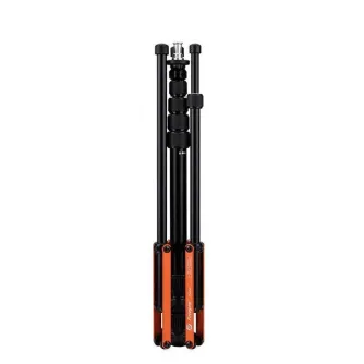 Statīvi apgaismojumam - Fotopro Trident TR-01A Light stand - ātri pasūtīt no ražotāja
