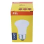 Replacement Lamps - Falcon Eyes Halogen Modeling Lamp ML-60 60W E27 Socket - buy today in Master Foto store and with delivery