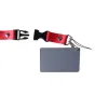 White Balance Cards - StudioKing Digital Grey Card SKGC-31S - quick order from manufacturer